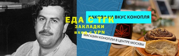 индика Арсеньев