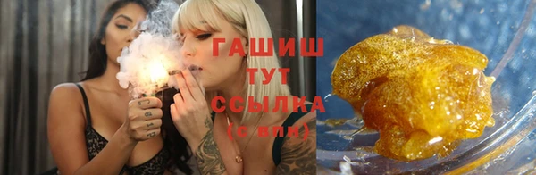 индика Арсеньев