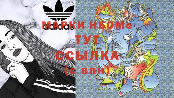 индика Арсеньев