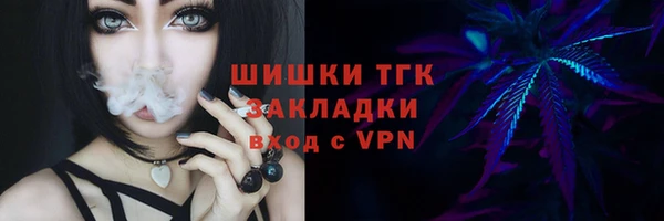 индика Арсеньев