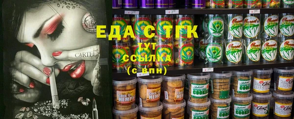 индика Арсеньев