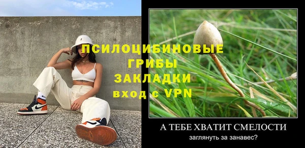 индика Арсеньев